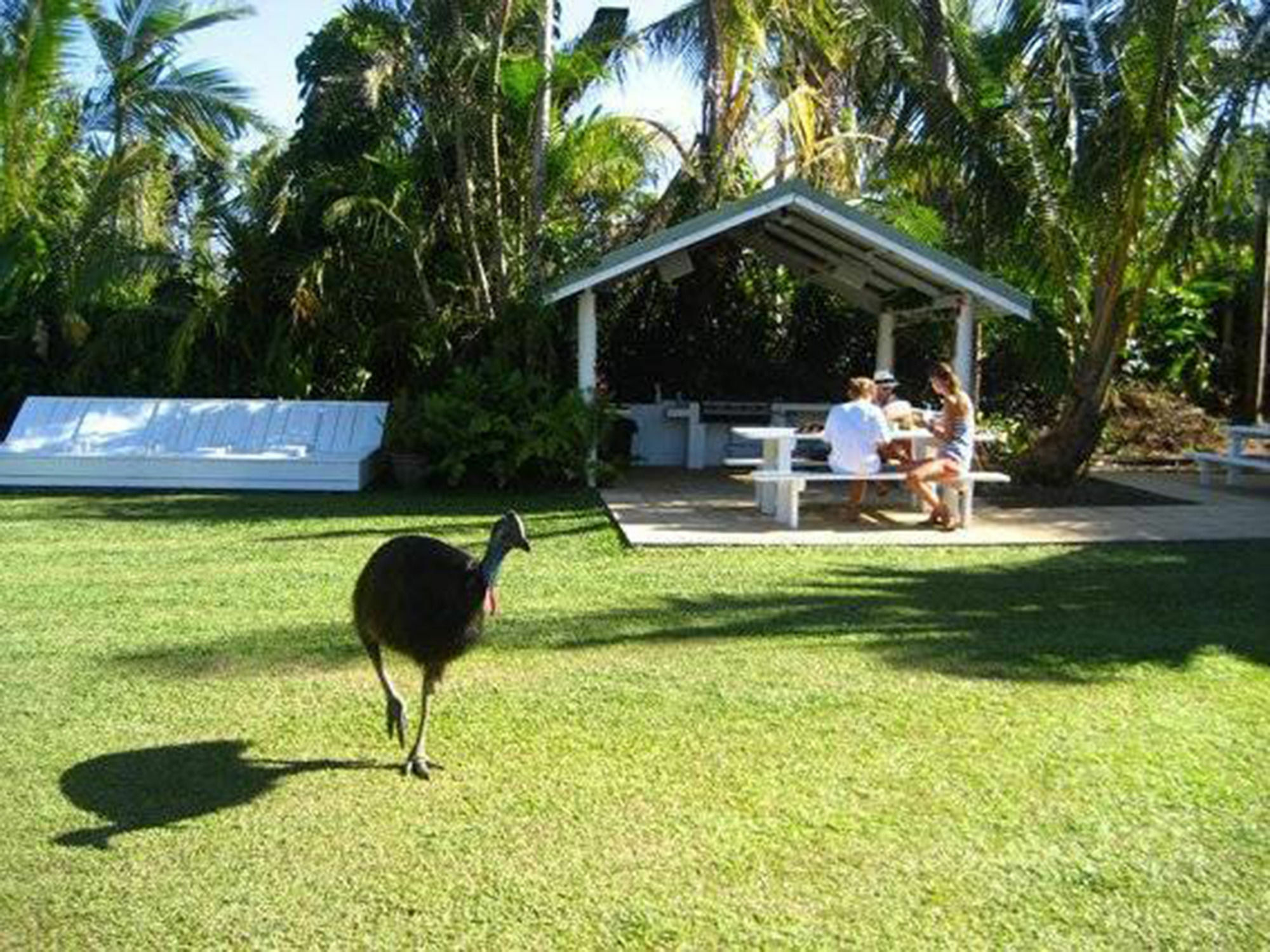 Absolute Backpackers Mission Beach Exteriér fotografie